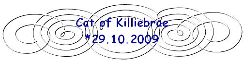 Cat of Killiebrae
*29.10.2009
