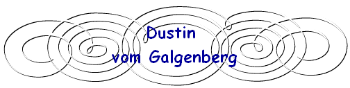 Dustin 
vom Galgenberg